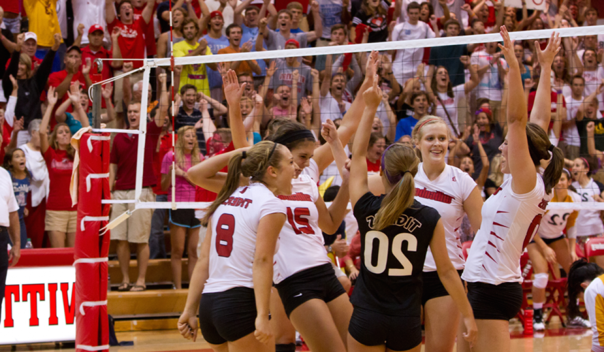 Volleyball players celebrating on the court